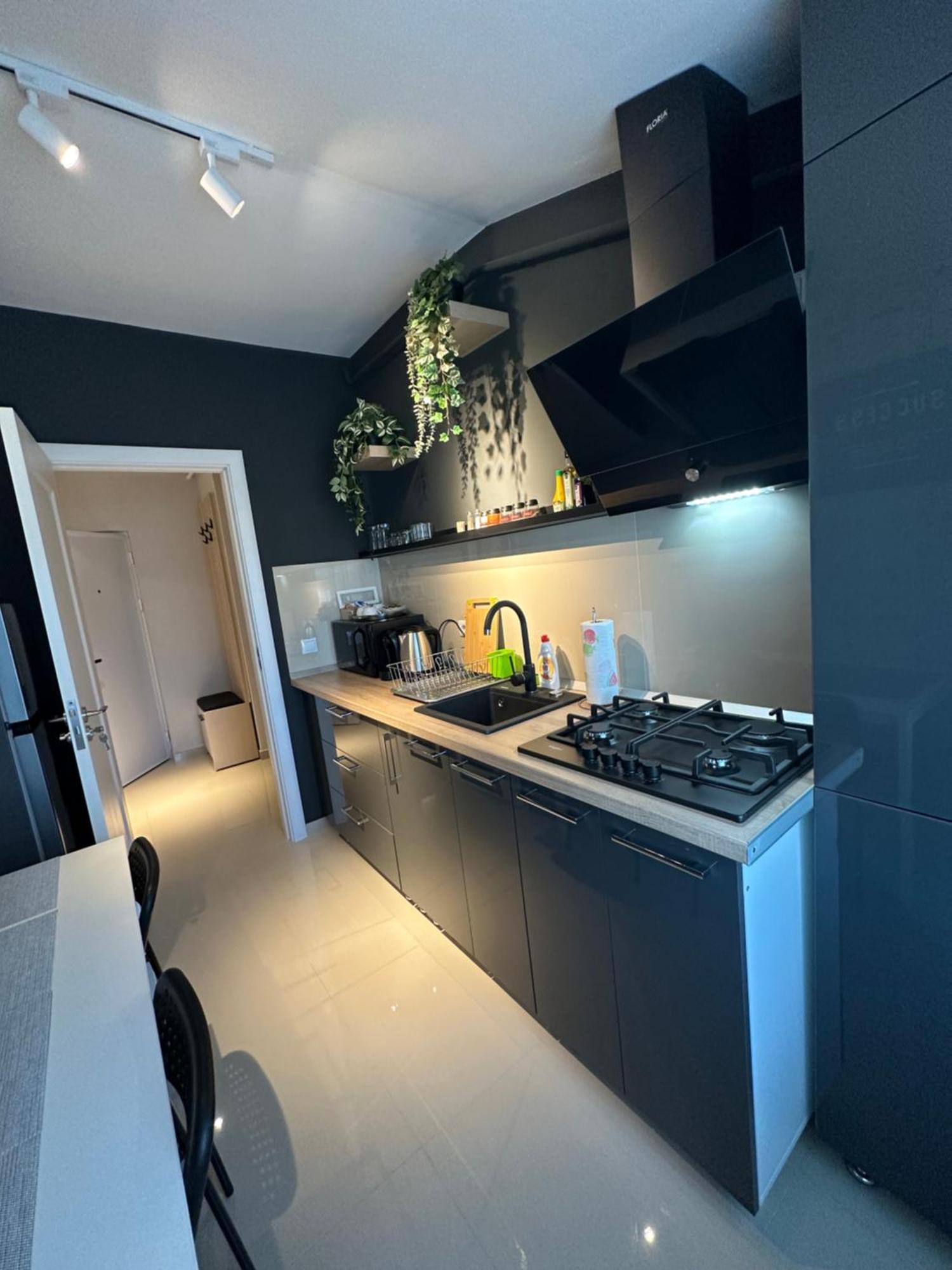 Complex Rediu 54 Luxury Apartaments Iasi Eksteriør billede